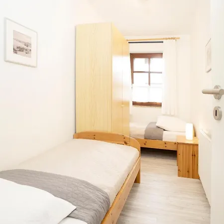 Ostseegarten Hainbuche * Kellenhusen