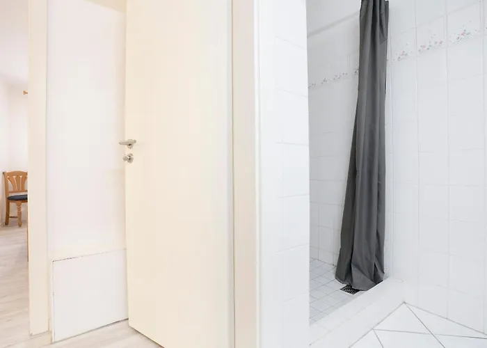 Ostseegarten Hainbuche