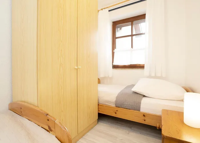 Ostseegarten Hainbuche *