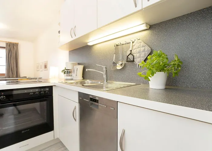 Ostseegarten Hainbuche Kellenhusen